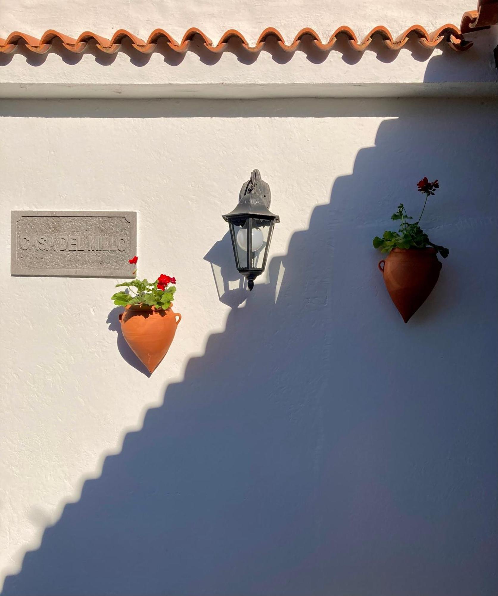 Bella Doramas Casas Rurales Panchita & Millo Moya  Bagian luar foto